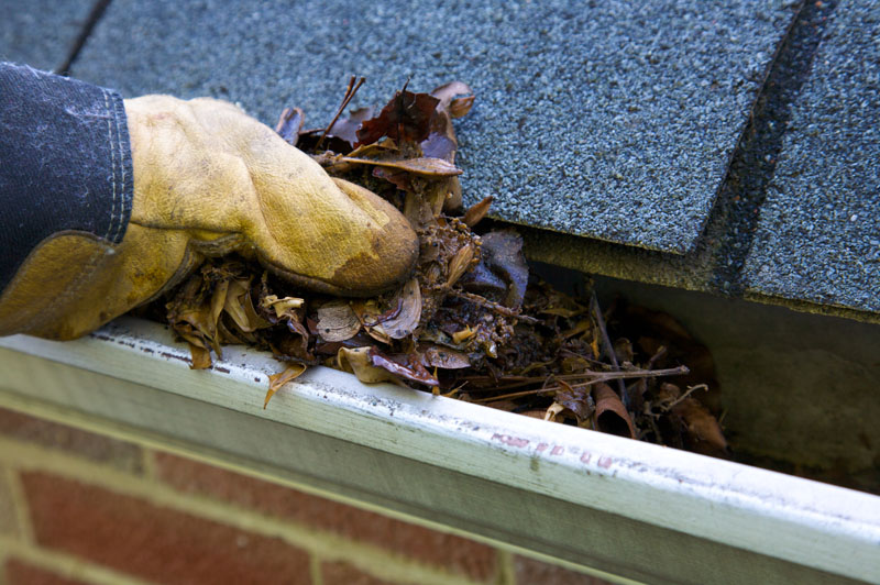 Premier Gutter Cleaning Services